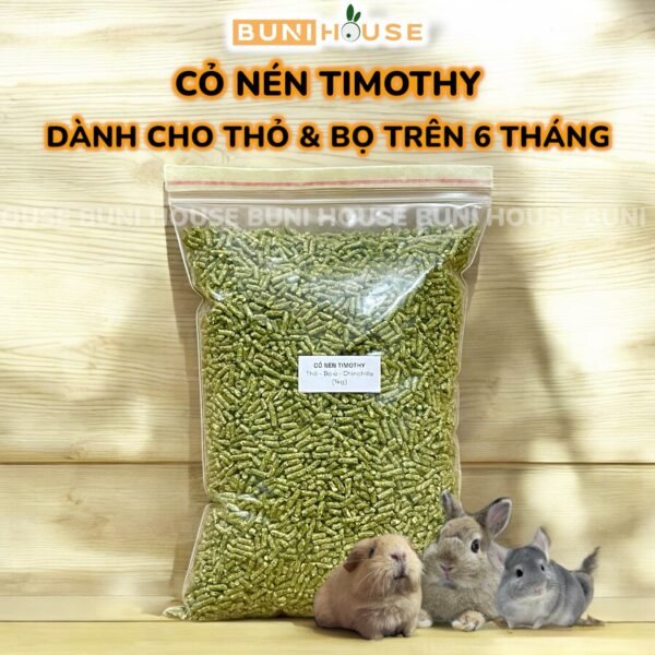 Cỏ Nén Timothy Nguyên Chất